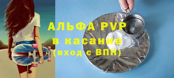 прущие грибы Гусиноозёрск