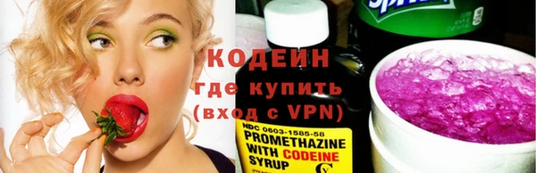 прущие грибы Гусиноозёрск