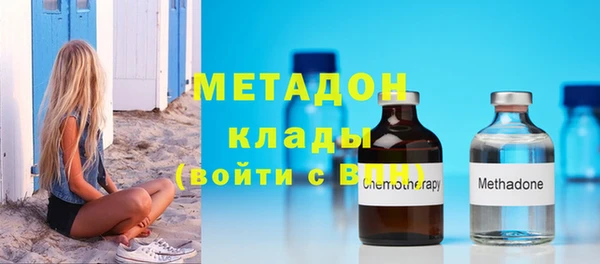 прущие грибы Гусиноозёрск