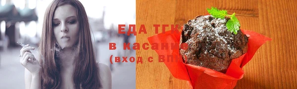 прущие грибы Гусиноозёрск