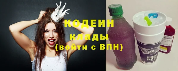 прущие грибы Гусиноозёрск