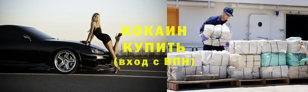 прущие грибы Гусиноозёрск