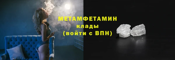 прущие грибы Гусиноозёрск