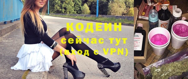 прущие грибы Гусиноозёрск