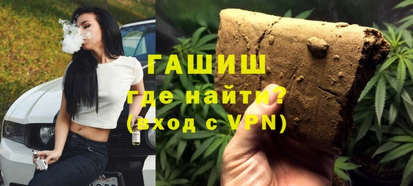 прущие грибы Гусиноозёрск