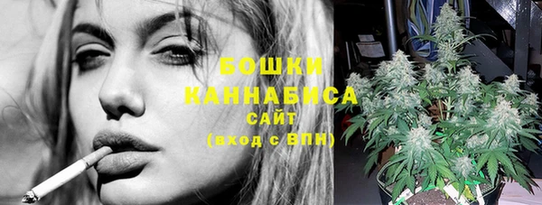 прущие грибы Гусиноозёрск