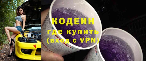 прущие грибы Гусиноозёрск