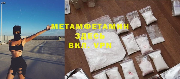 прущие грибы Гусиноозёрск