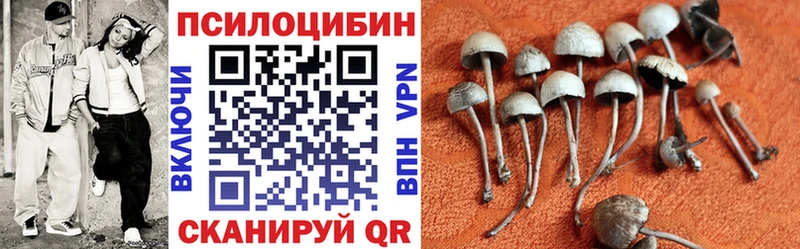 Галлюциногенные грибы прущие грибы  Могоча 