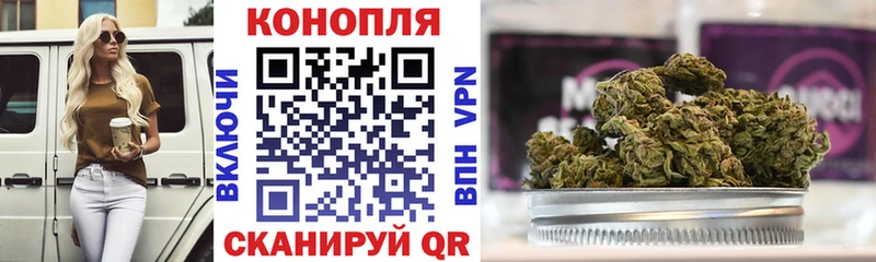 Марихуана гибрид  Могоча 